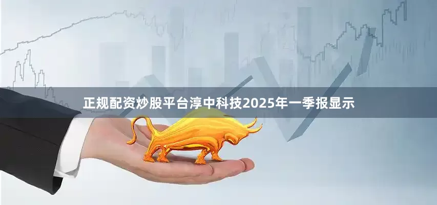 正规配资炒股平台淳中科技2025年一季报显示