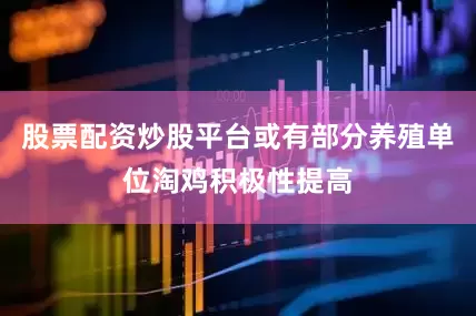 股票配资炒股平台或有部分养殖单位淘鸡积极性提高